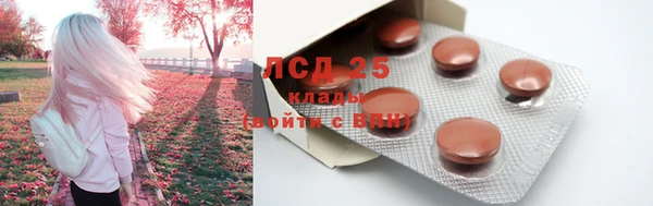 гидра Бородино