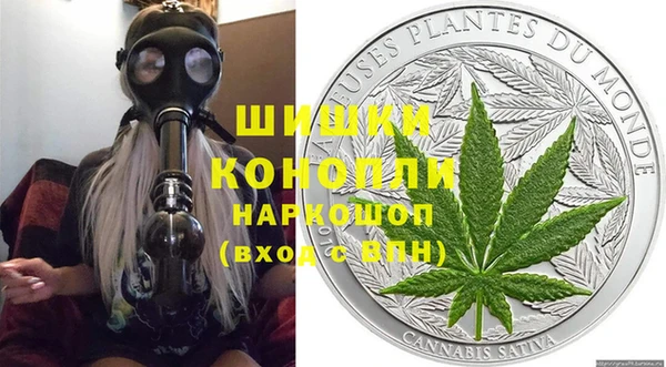 прущие грибы Бугульма