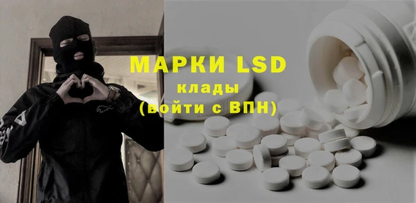 прущие грибы Бугульма