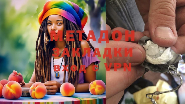 прущие грибы Бугульма