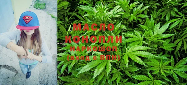 гидра Бородино