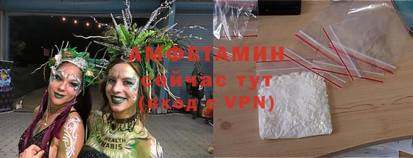 гидра Бородино