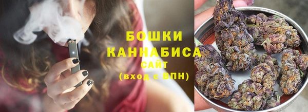 гашик Богородск