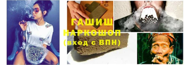 гидра Бородино